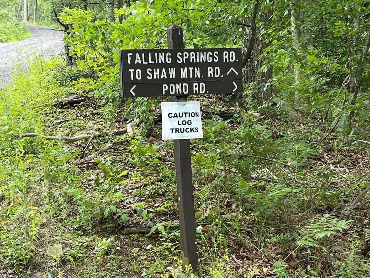 Falling Spring Road trail photo
