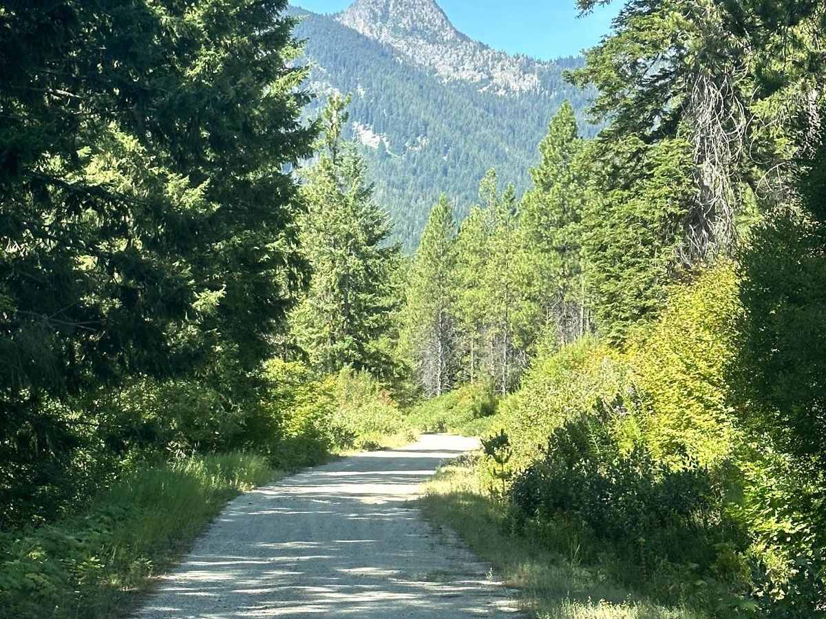 Big Meadow Creek Road photo 2
