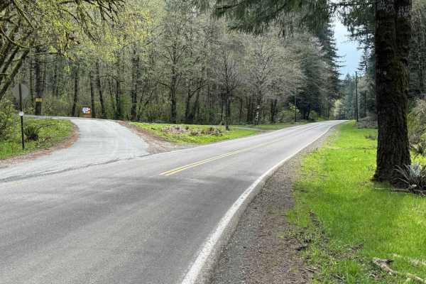 North Fork Trask River Road