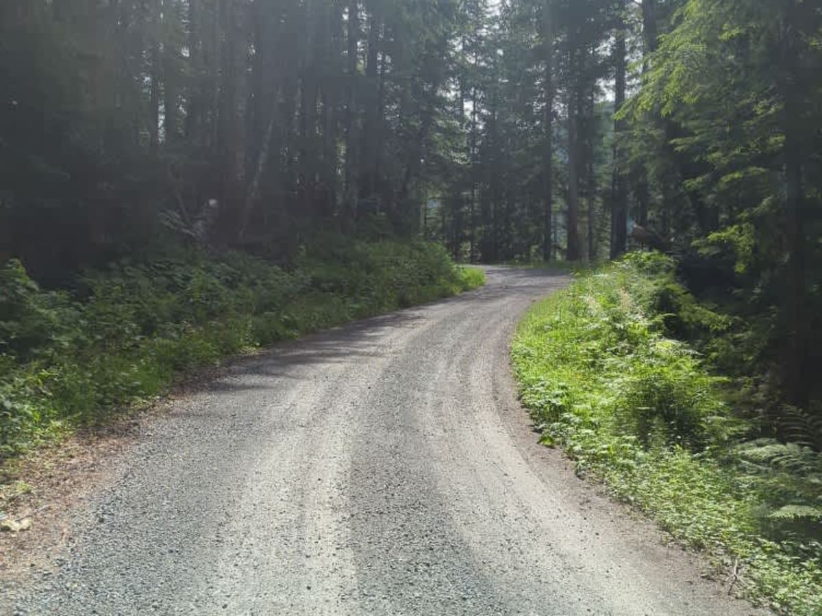 Johnson Ridge Trail photo 2