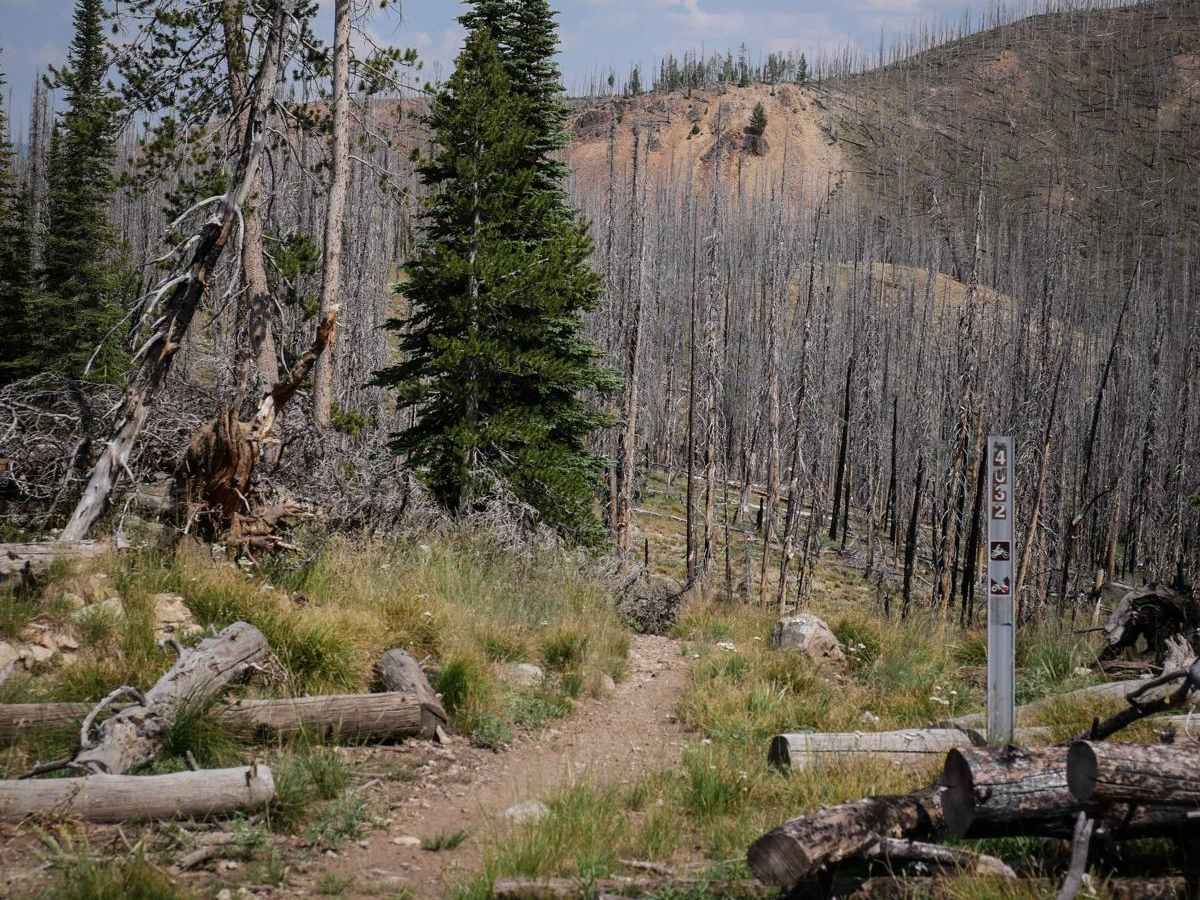 Hay Knapp Creek (South) trail photo