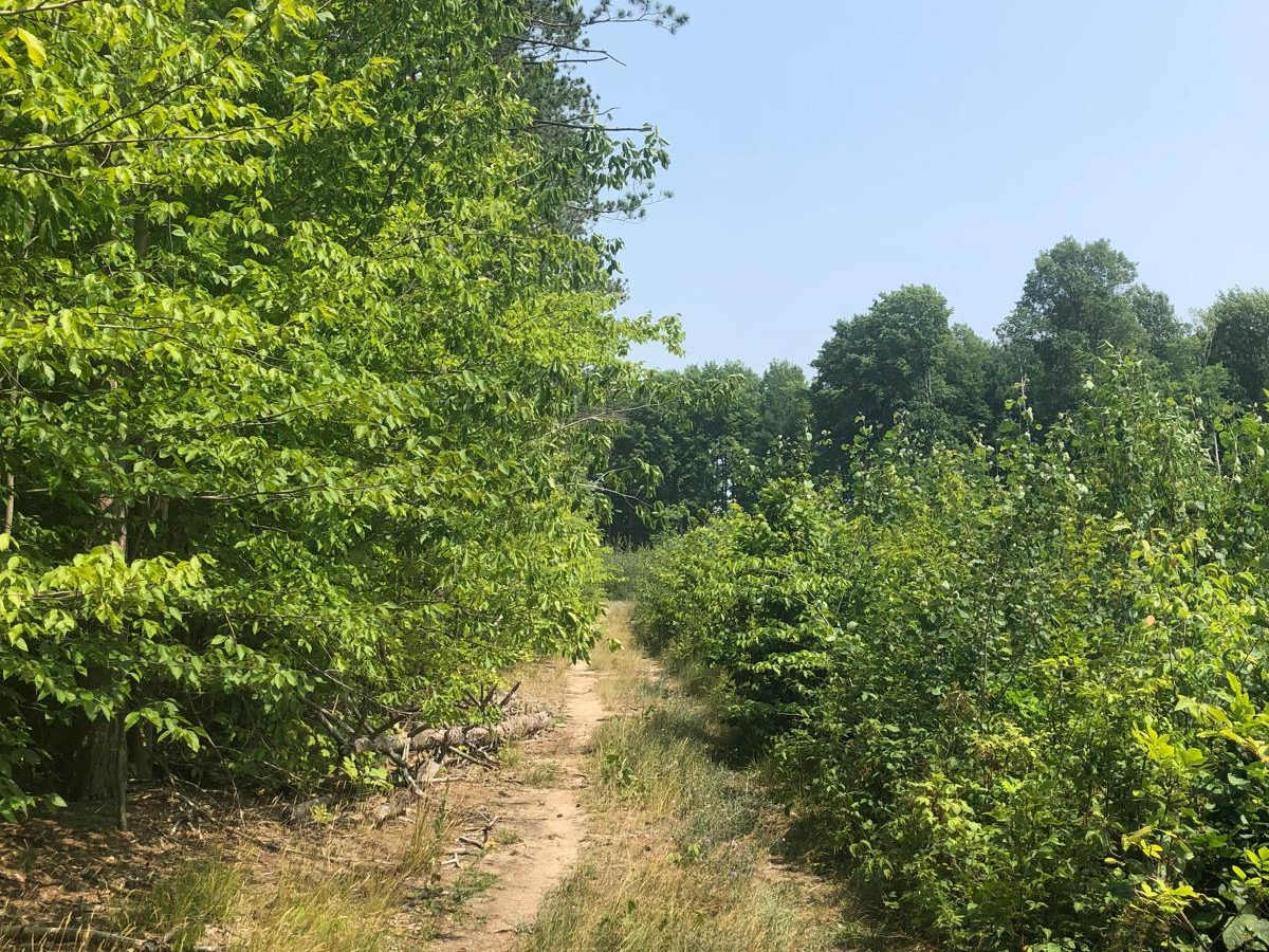 North Reynolds Loop photo 6