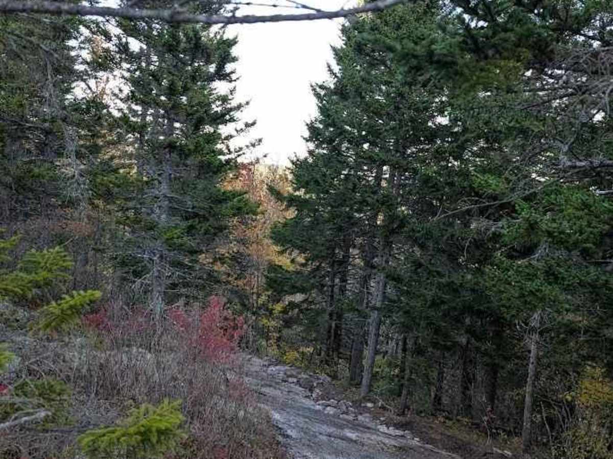 Turtle Mountain photo 4