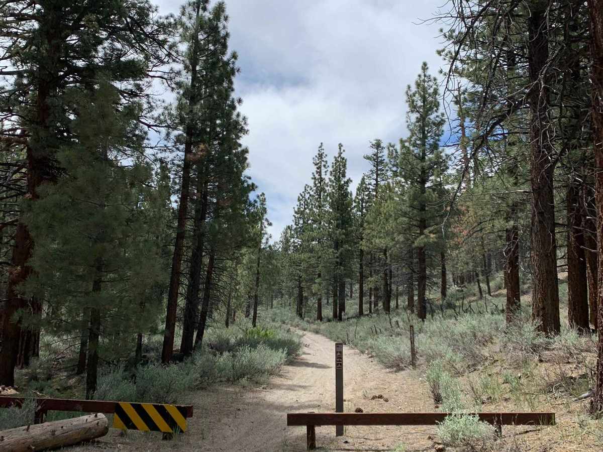 Dry Creek Gulch (28E210) photo 6