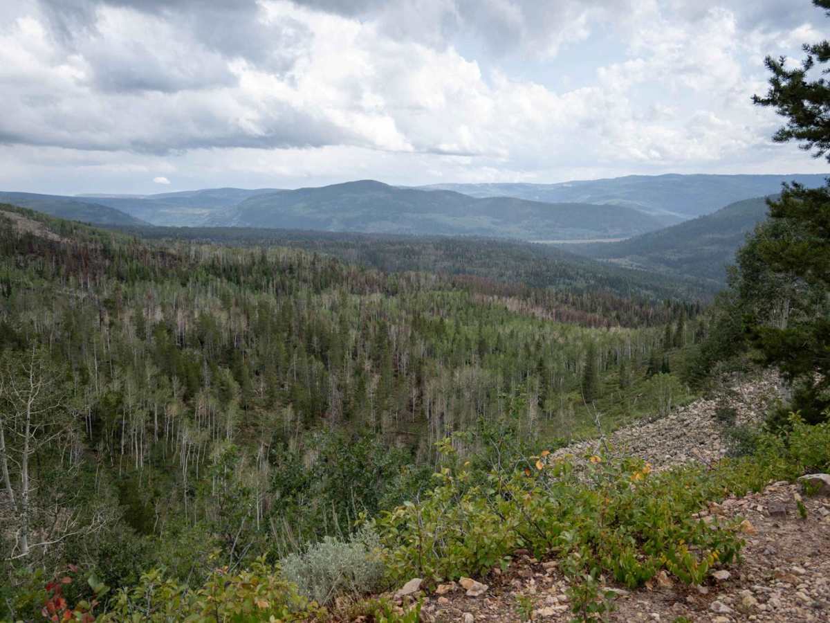 Upper Setting Road trail photo