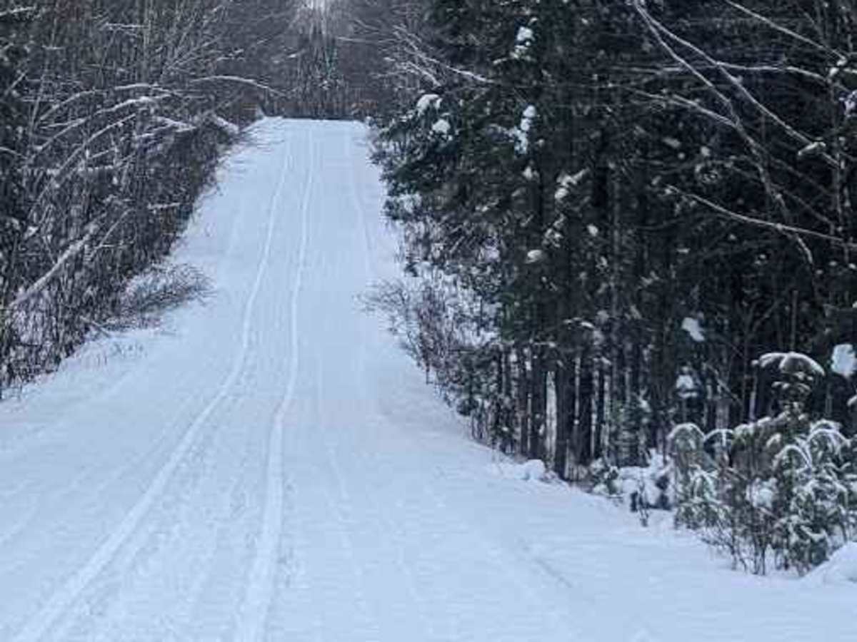 Little Owl Lake Trail photo 5