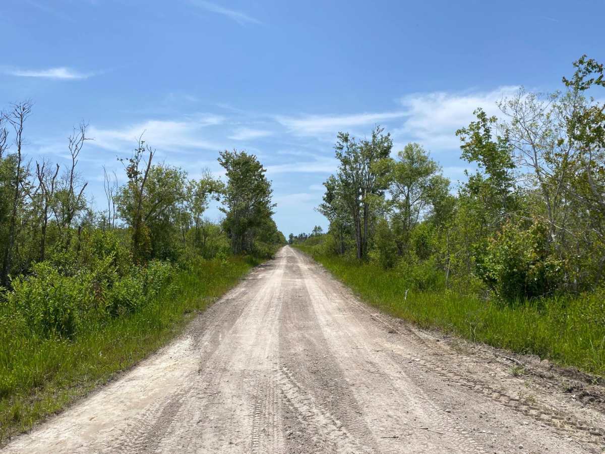 North Canal Road photo 5