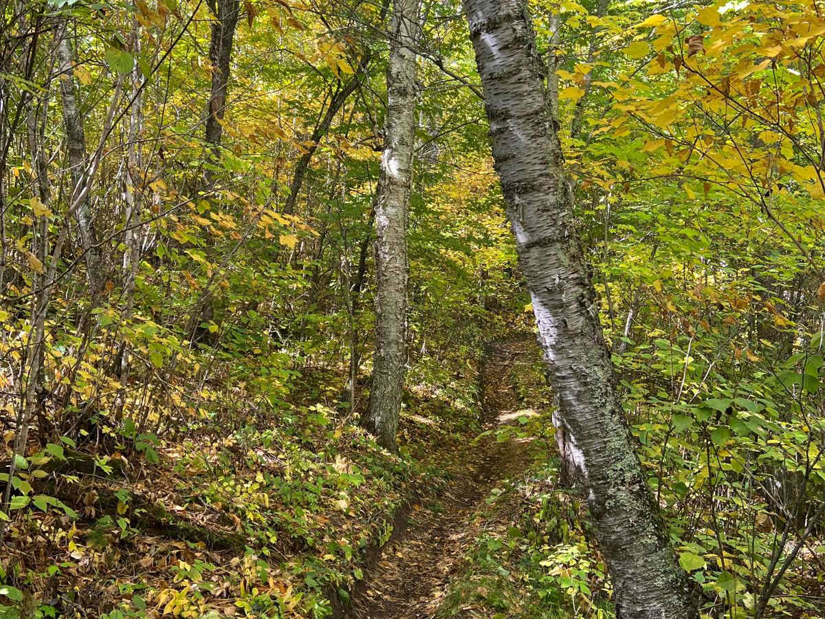 Paul Bunyan's Smooth Backwoods Cruise photo 5