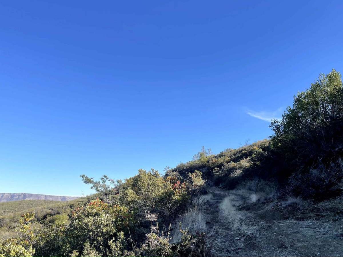 Cement Creek photo 5