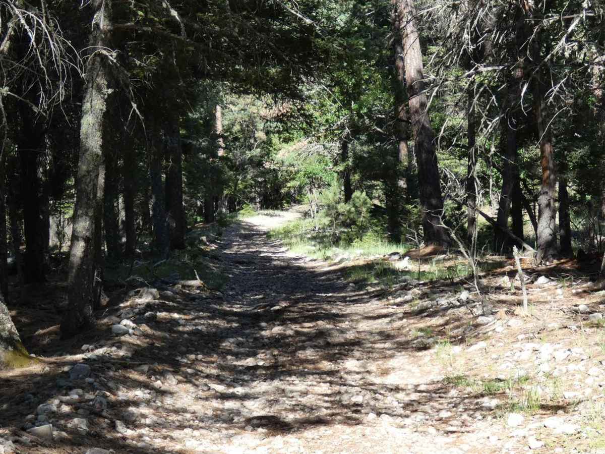 North Orr photo 6