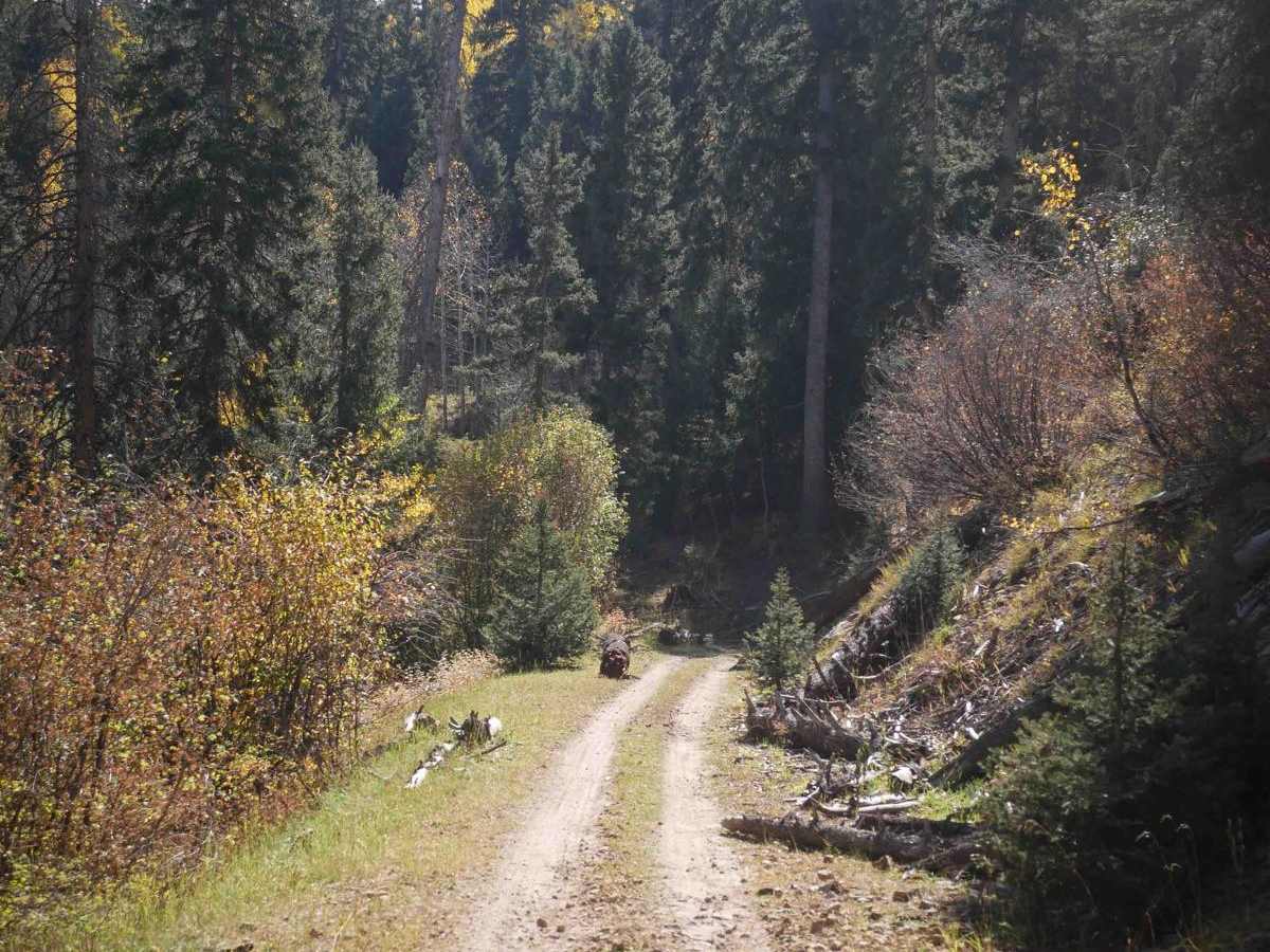 Monument Mountain - 590 photo 4