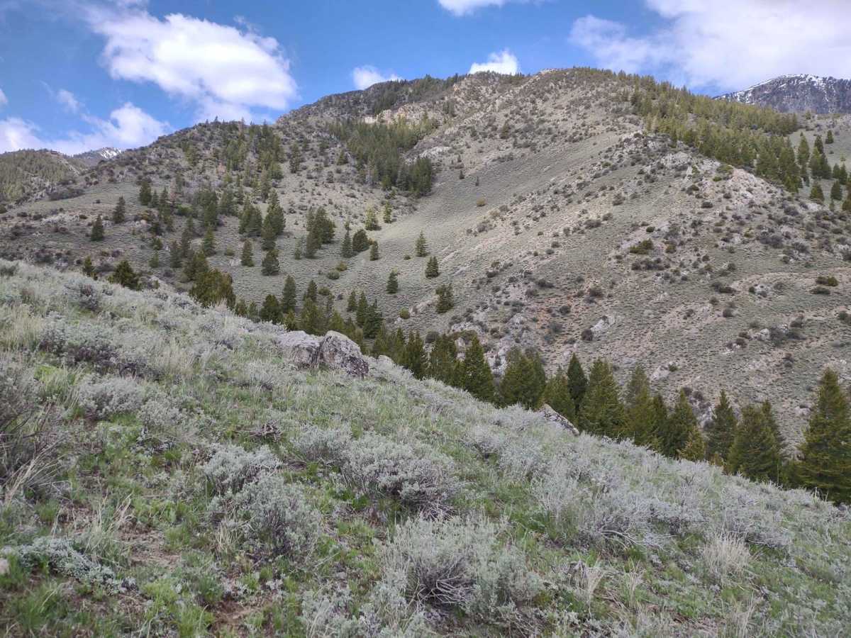 Arco Pass to Hurst Canyon photo 5