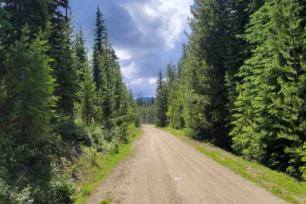 Cougar Creek Road