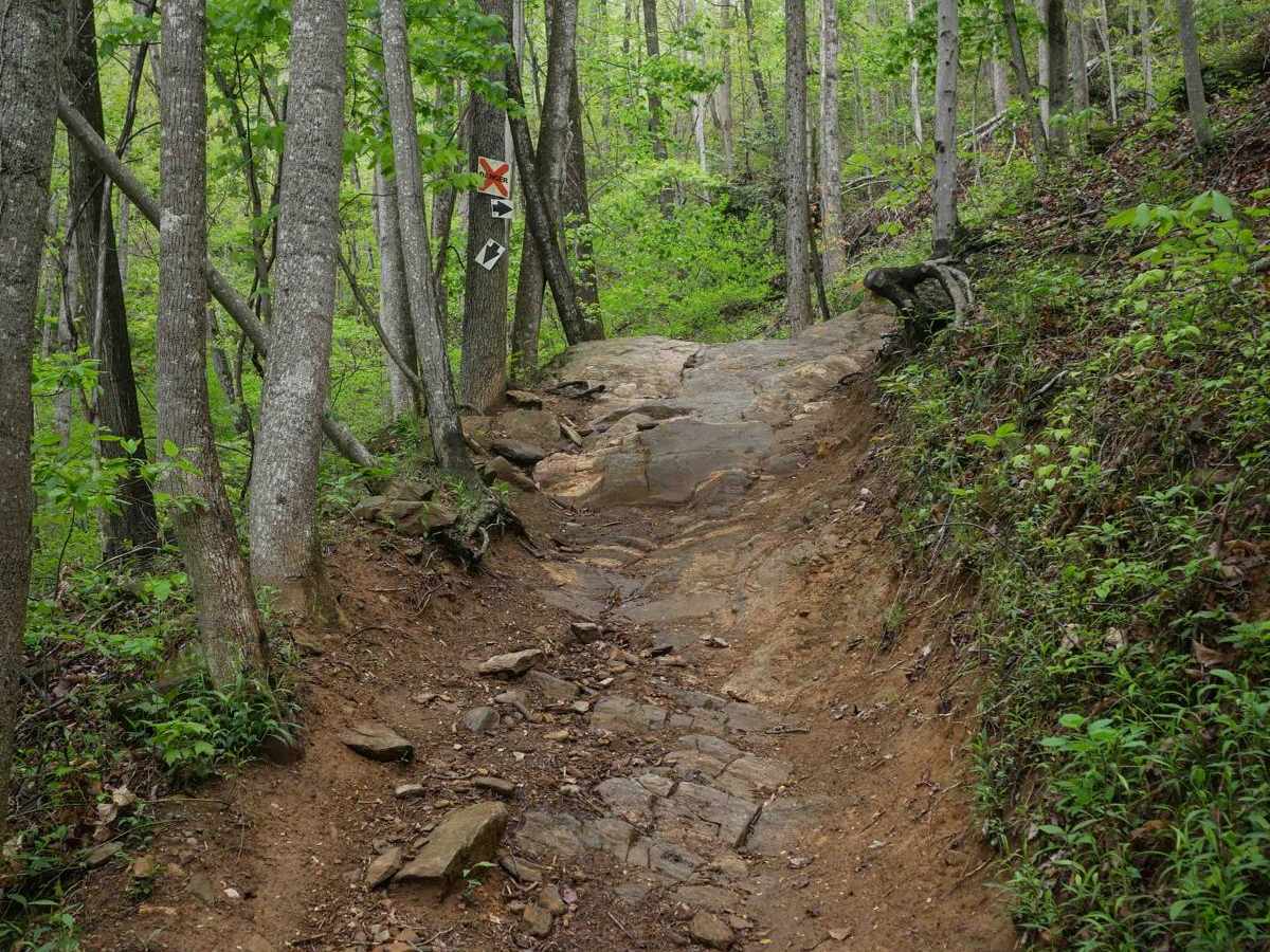11C trail photo