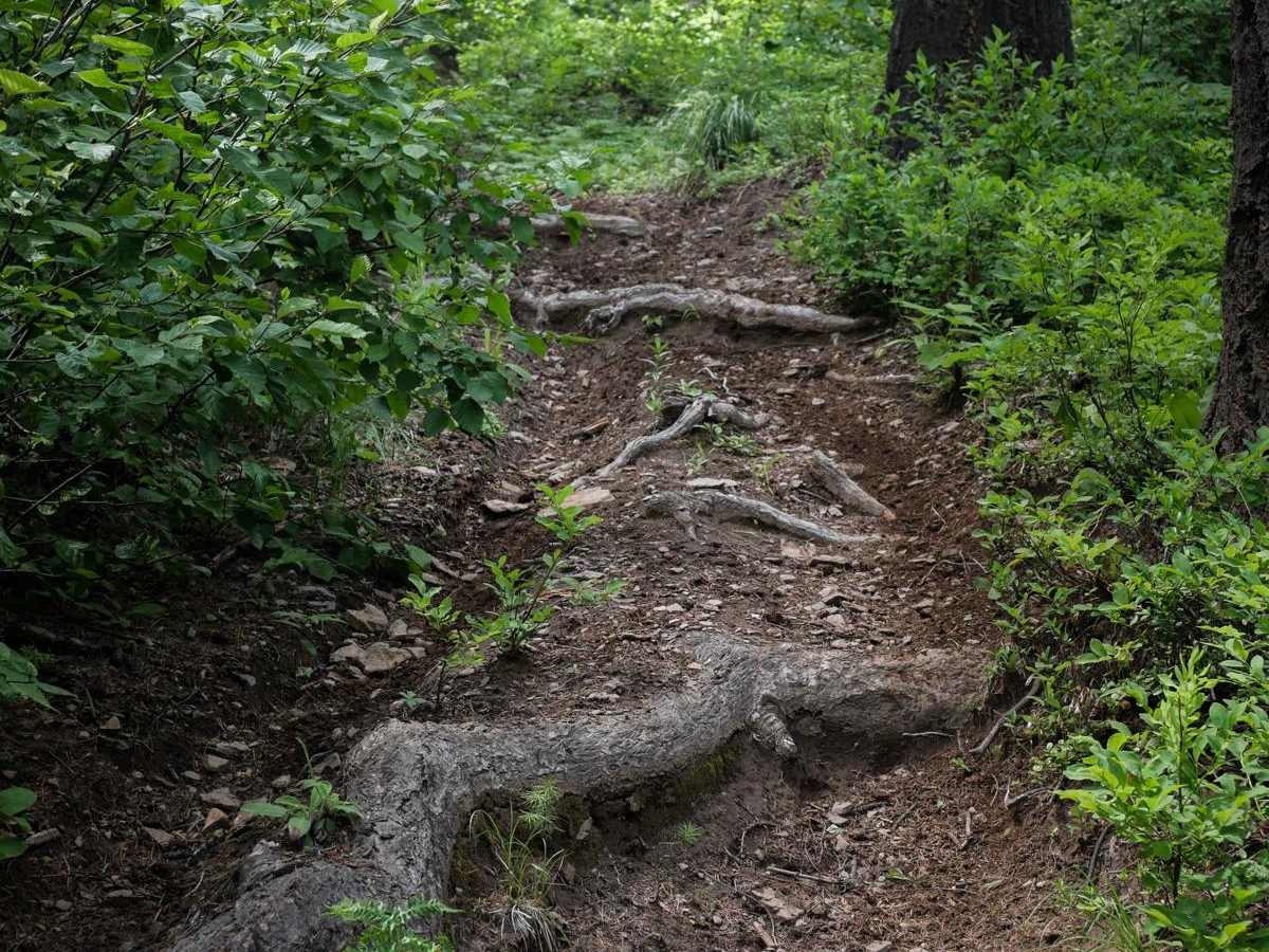 Prospect trail photo