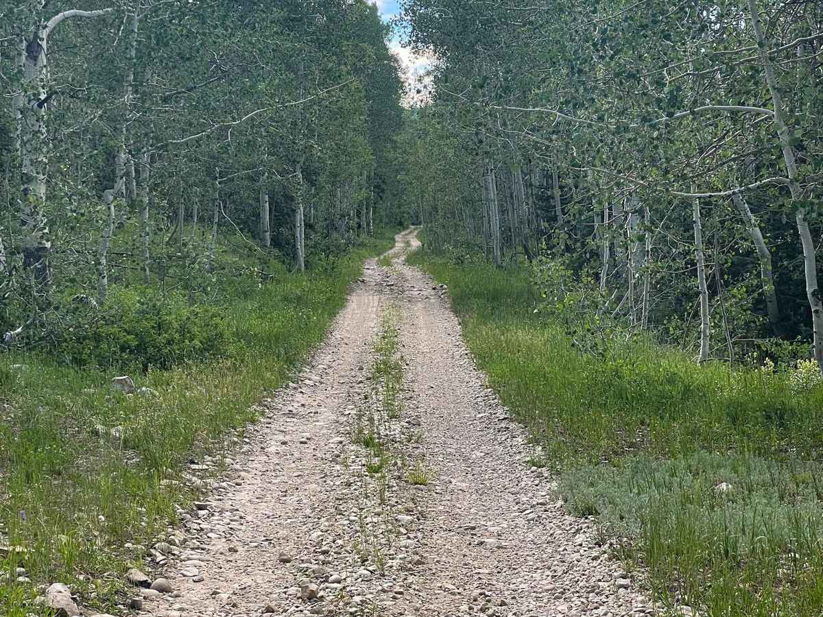 Pass Cr Ridge (FR 70242) photo 3