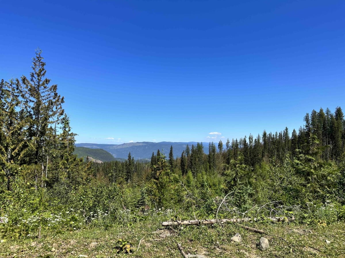 Bonneau FSR photo 4