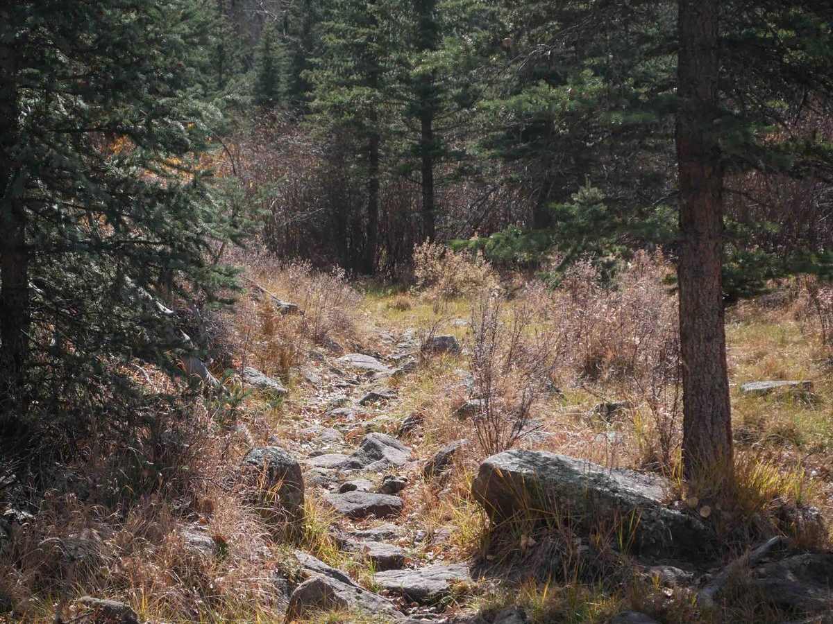 West Alder Trail - 798 photo 4