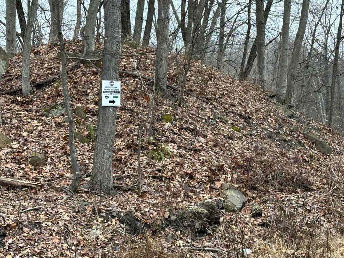 Locust Gap 21 photo 4