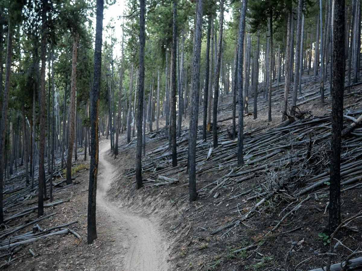 Upper Wide Open trail photo
