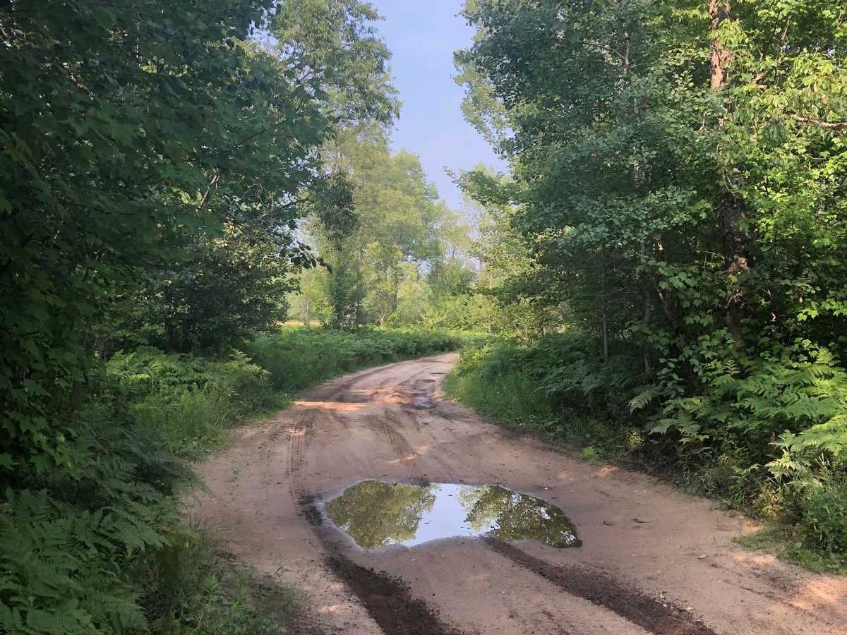Long Road Spur trail photo