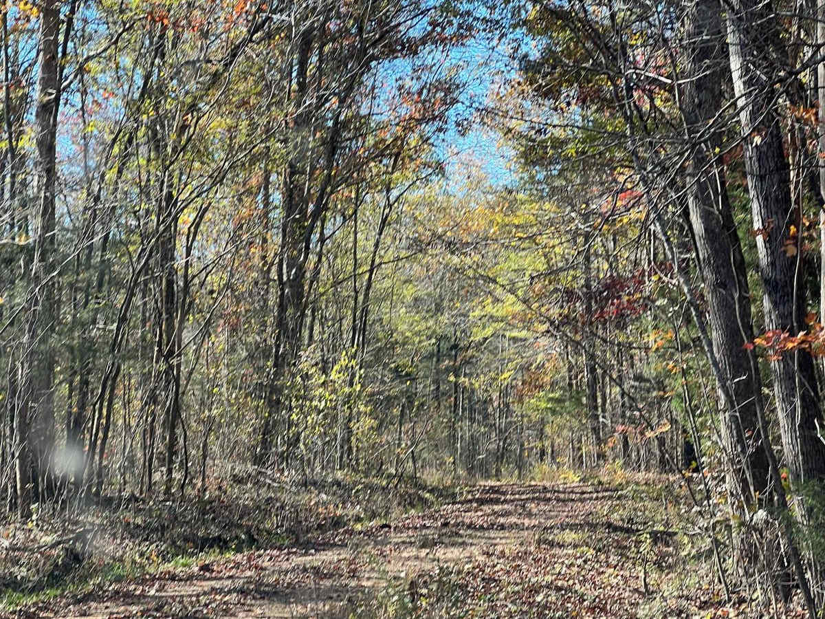 Flat Mountain Road - FS 270C photo 5