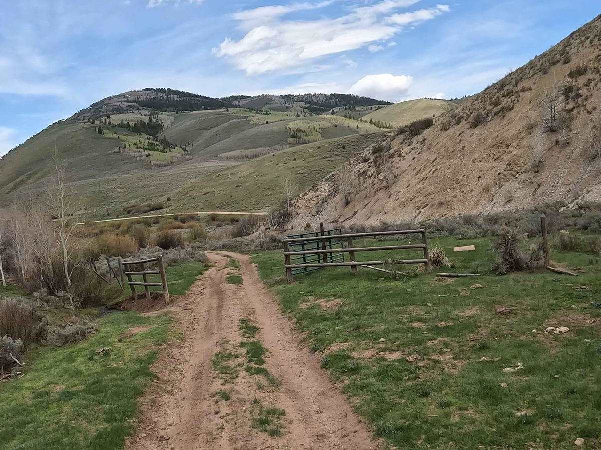 Camel Hollow photo 2