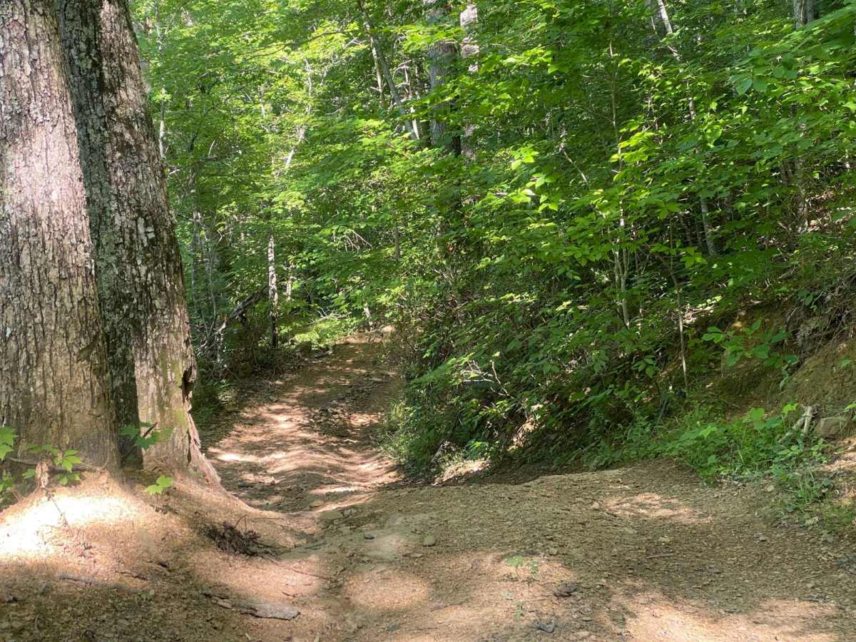 Trail 1 photo 3