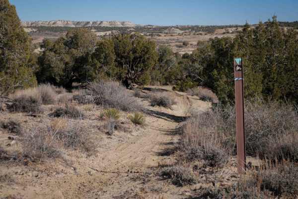 Ridge Singletrack