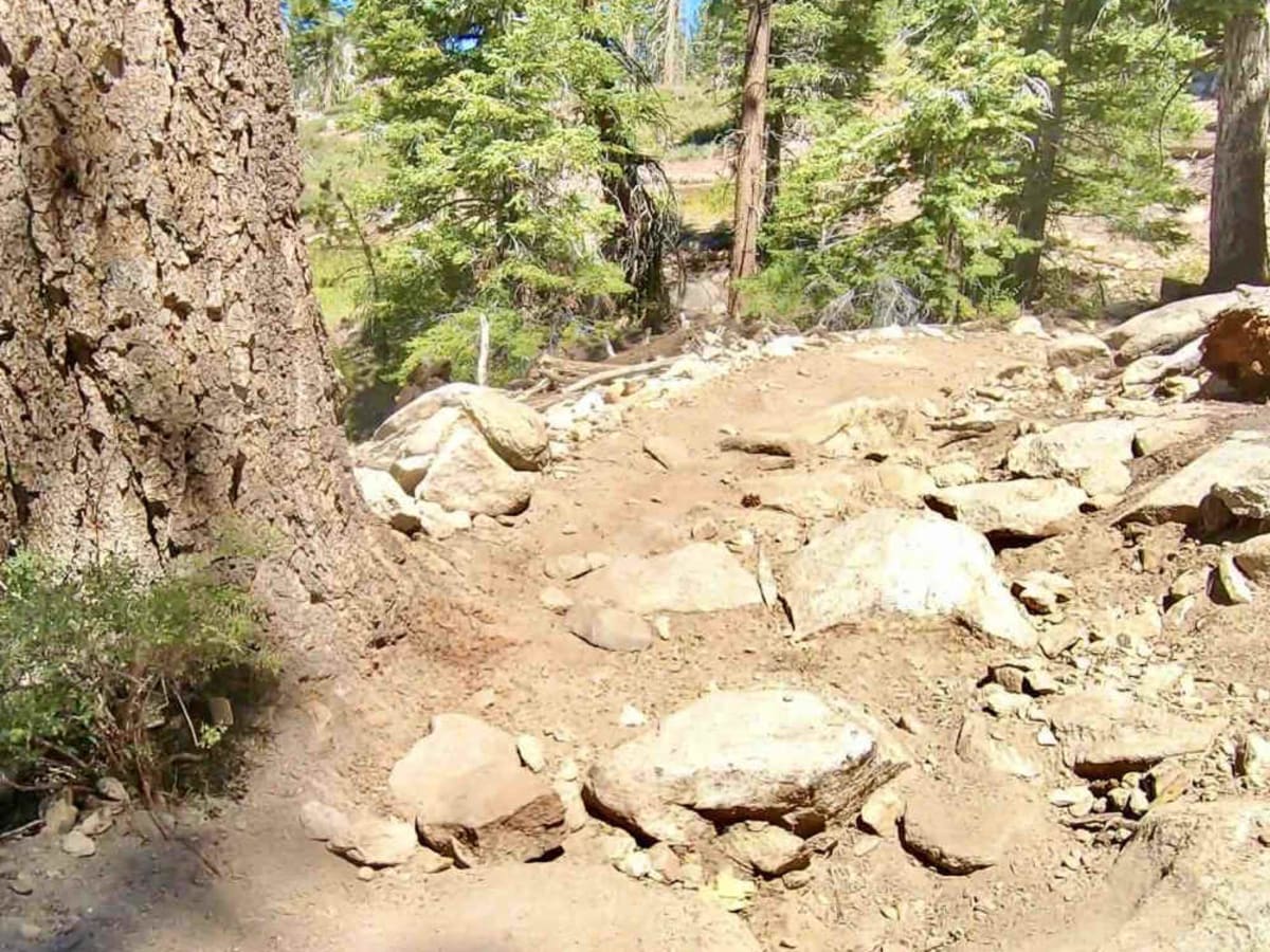 Jackass Creek photo 6