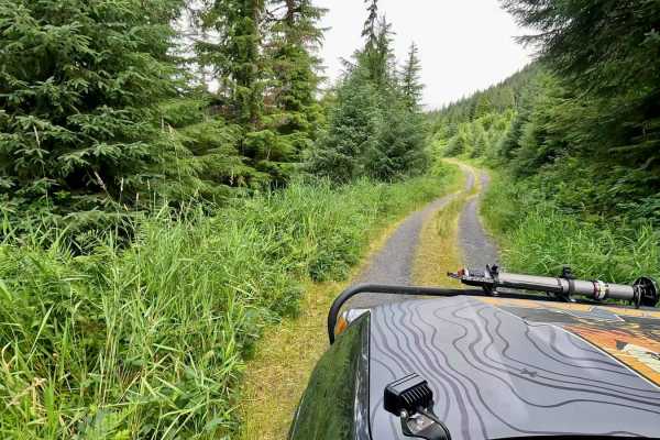 Stumble Creek - 6273