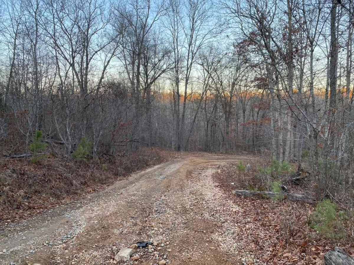 Pine Union Hill FSR 2137 photo 4