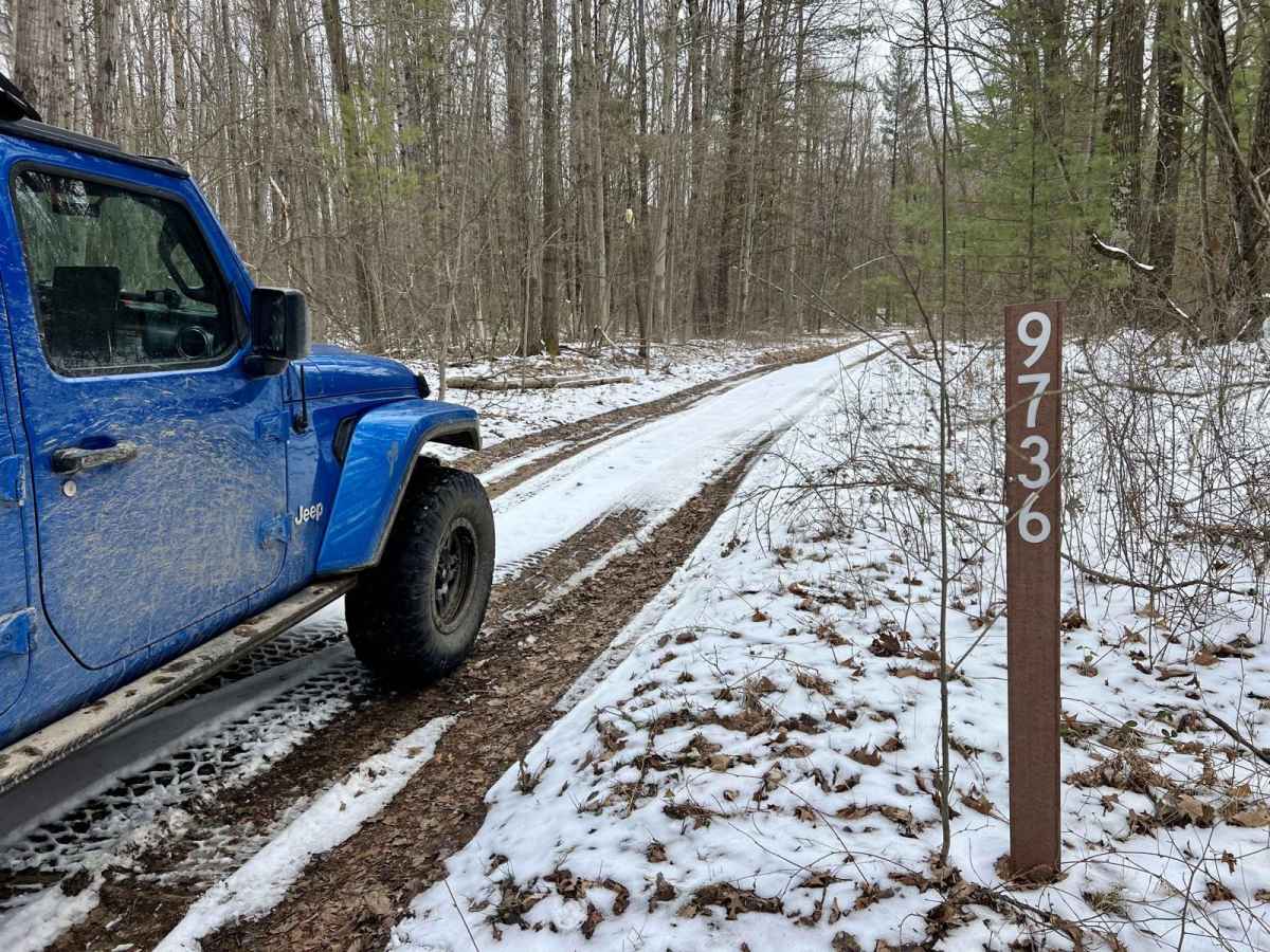 NFS 9736 (Mud Bogger) photo 2
