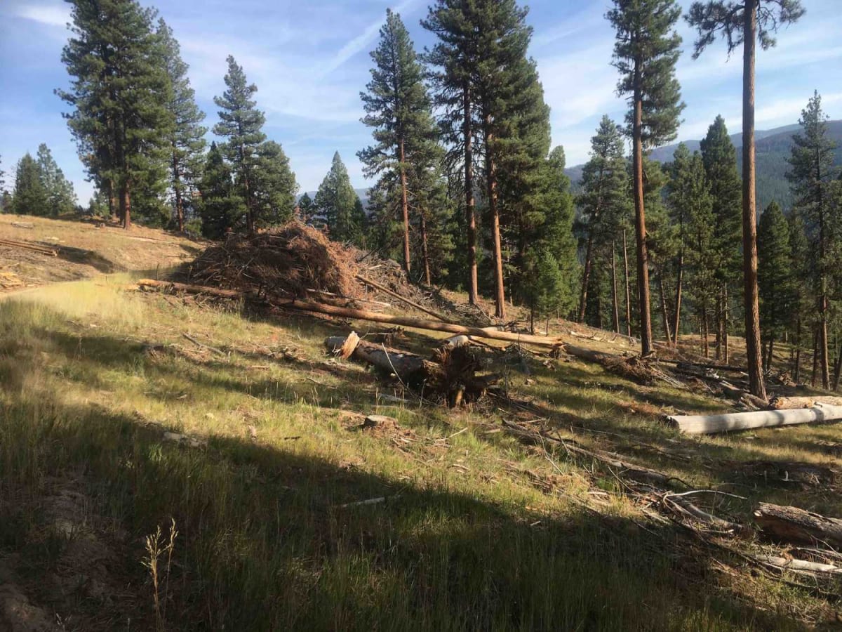 Tepee Creek- 13313 (Southern Portion) photo 6