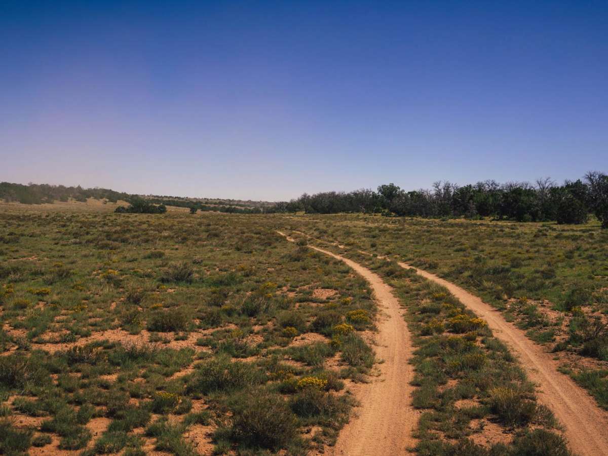 Buckhorn Canyon photo 4