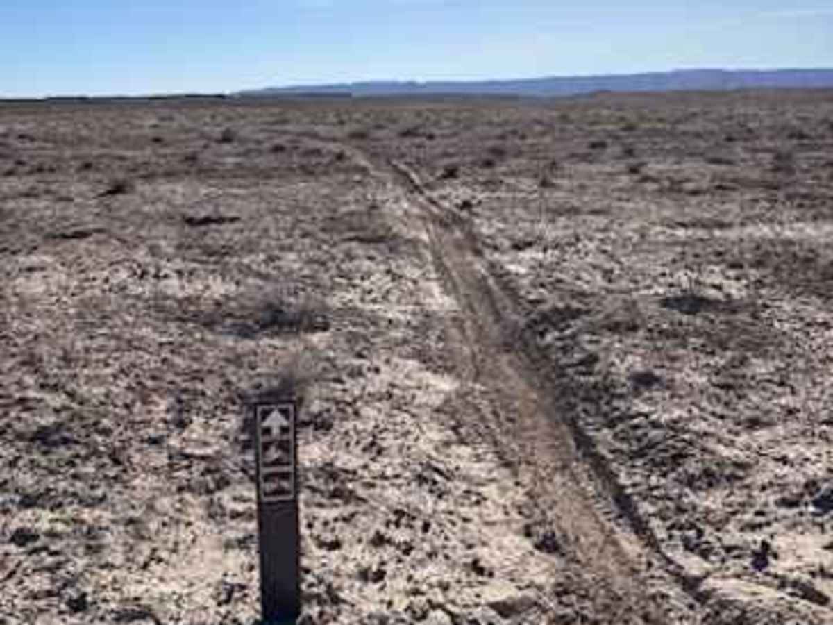 Open Desert Single Track photo 4
