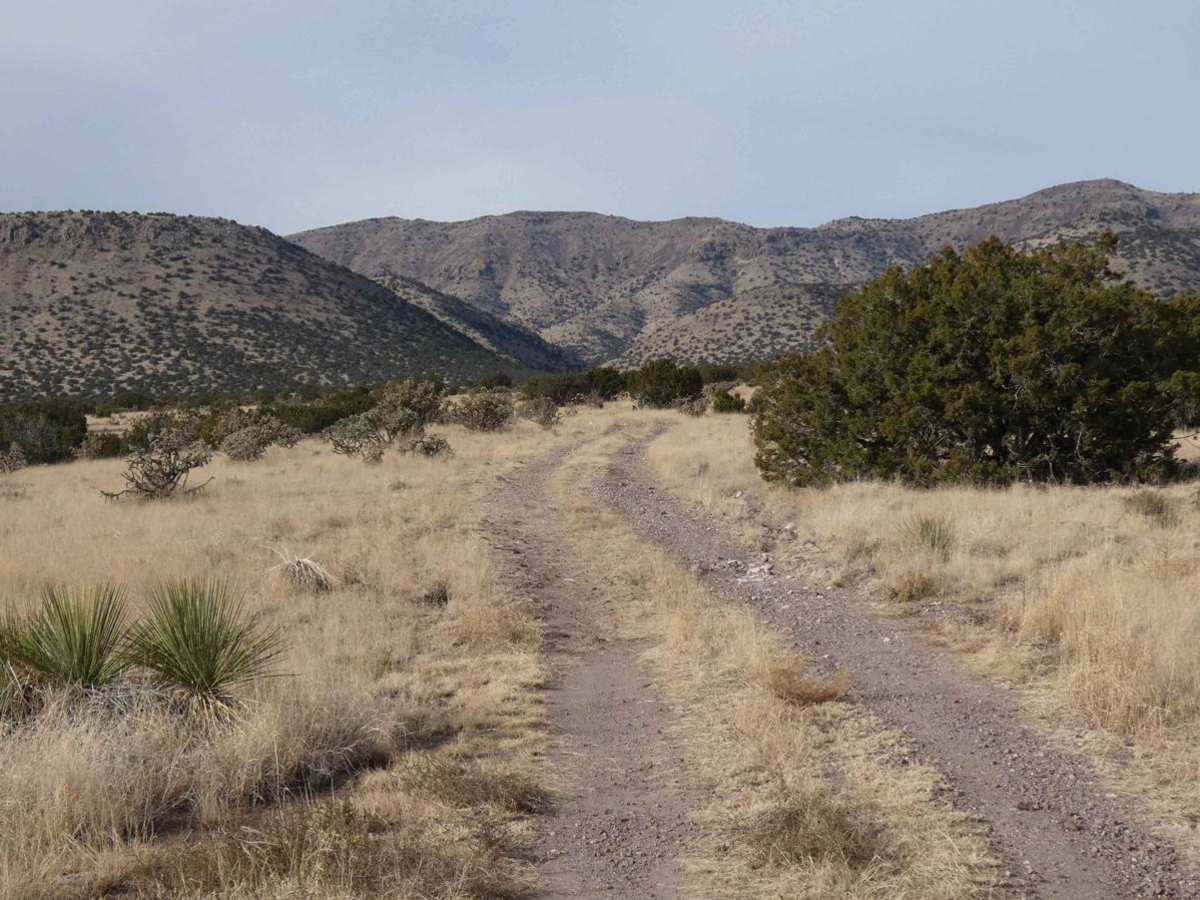 Jack's Valley photo 5