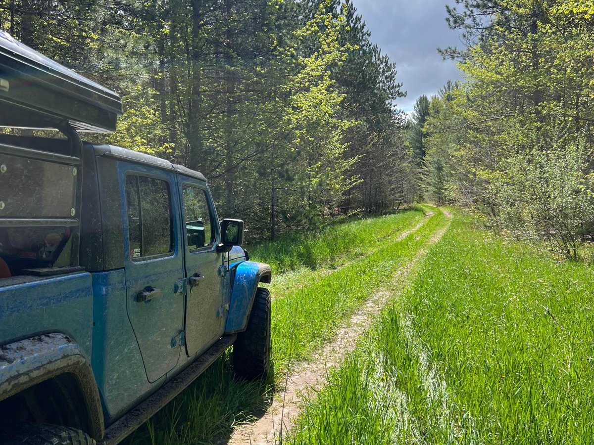 Grassy Grown Trail trail photo