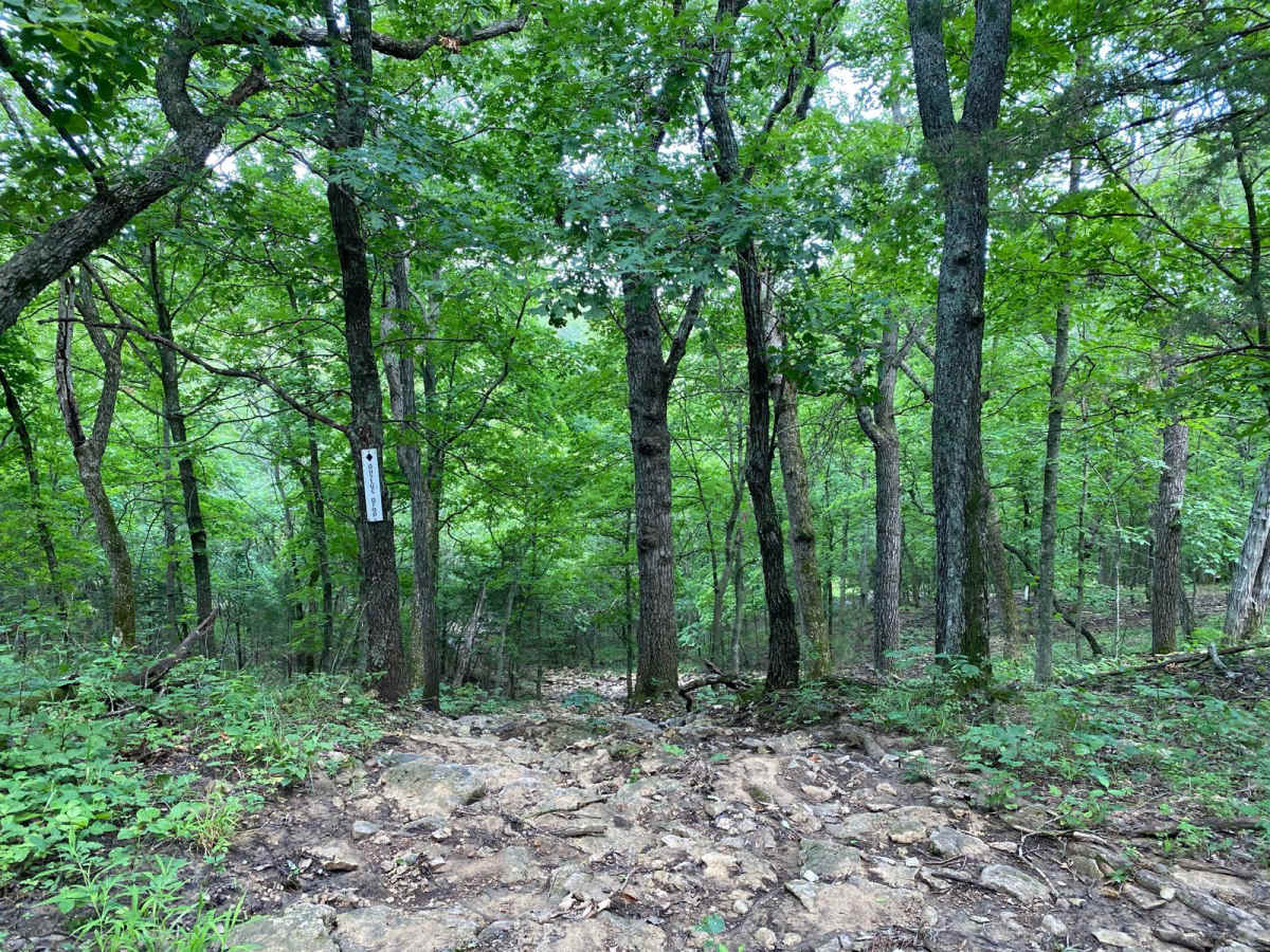 Dustys Drop trail photo