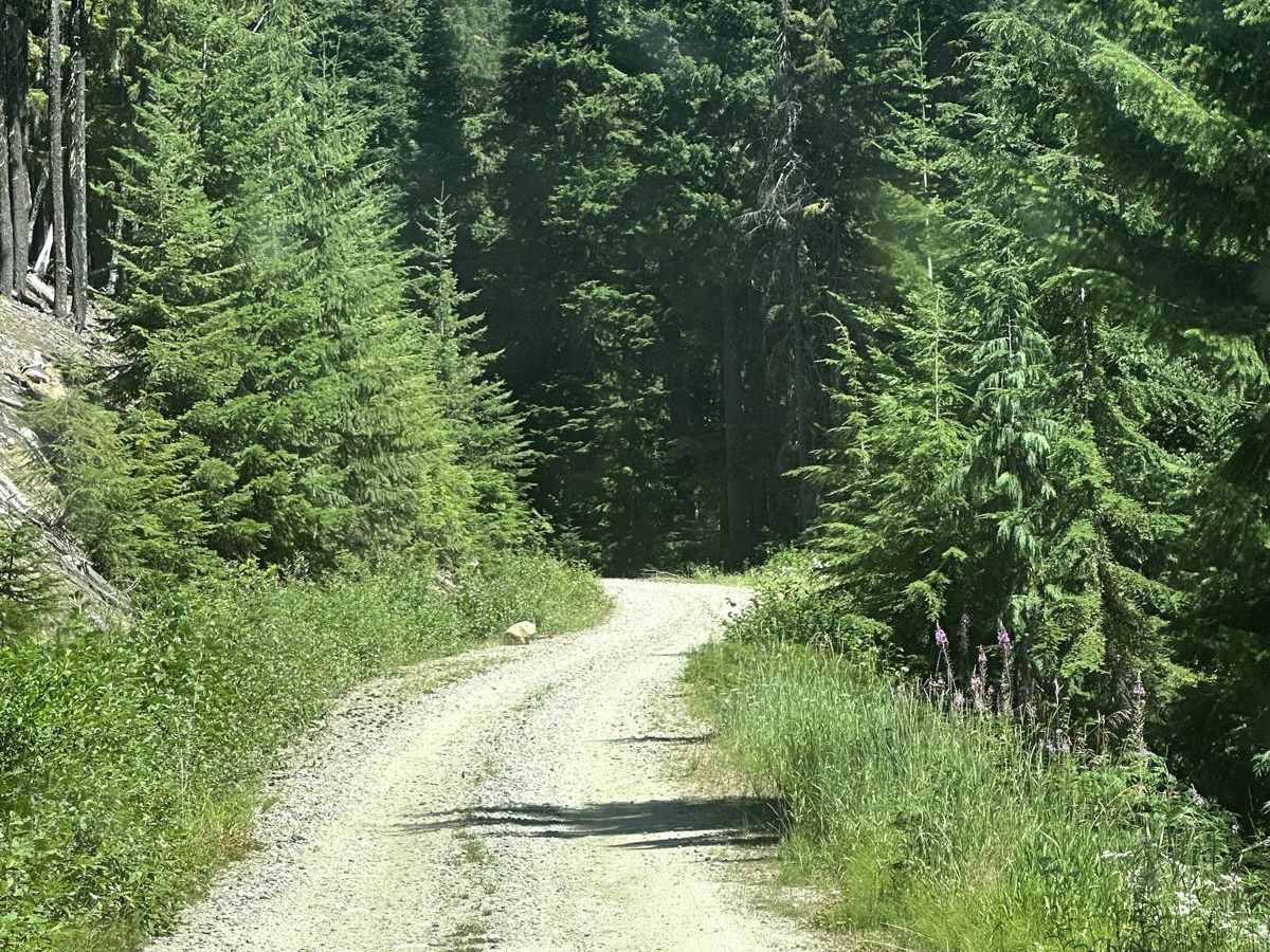 Minotaur Lake Trailhead photo 3