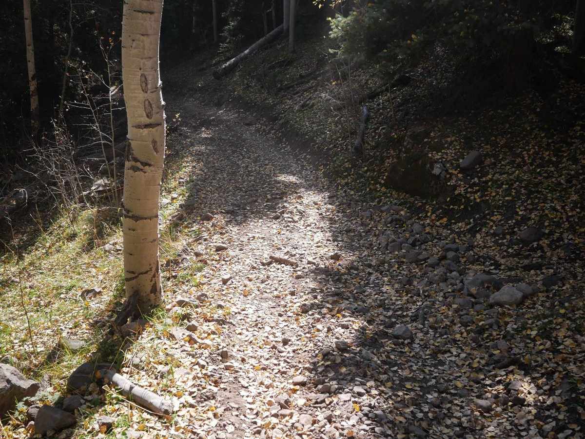 West Fork ATV photo 6