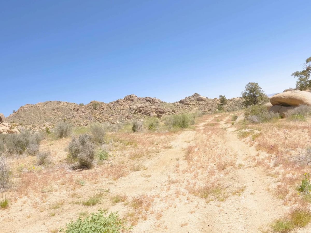 Spur Roads - BLM C2319 - C2352 photo 3