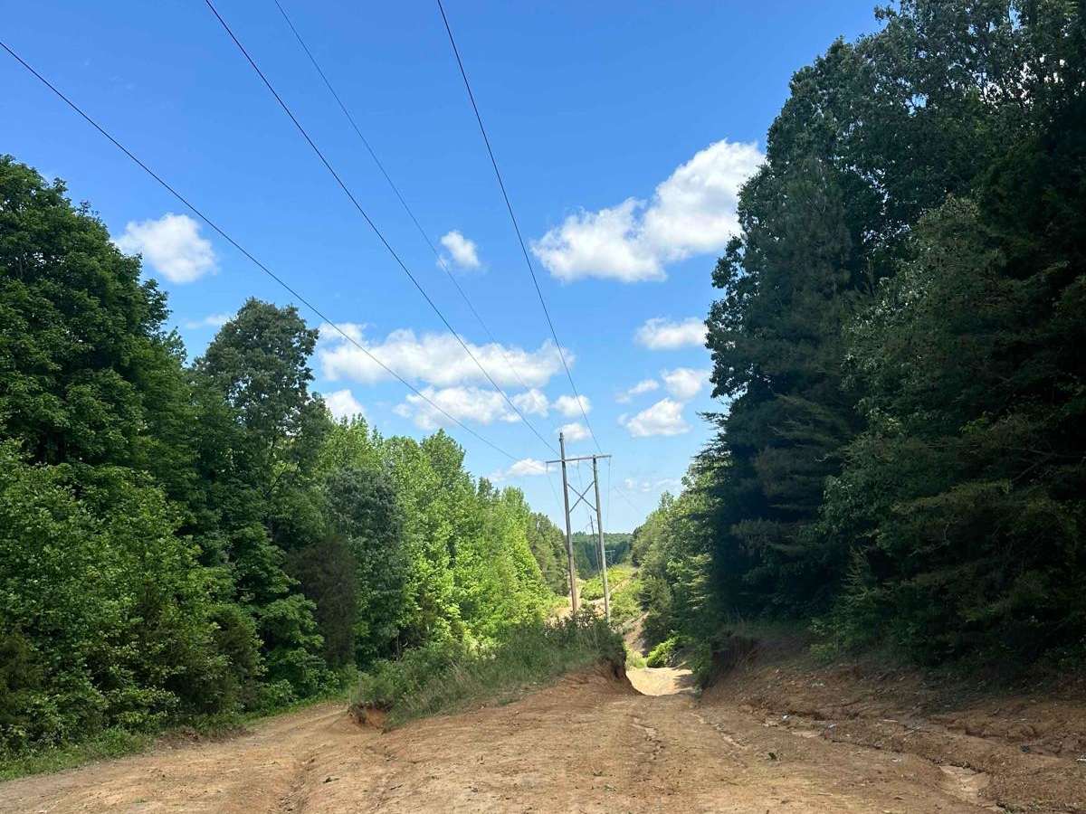GL Powerline Trail photo 5