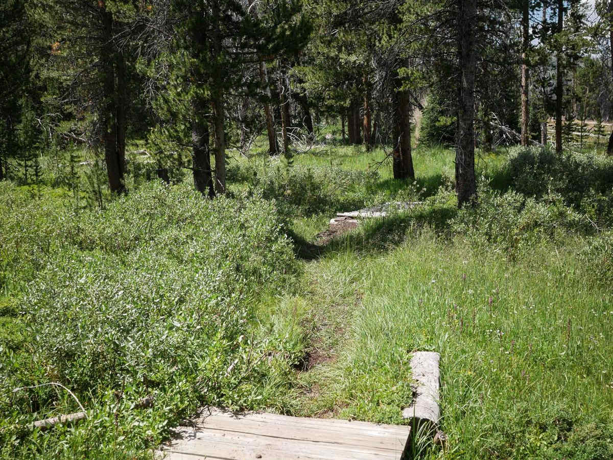 Little Basin Cutoff photo 2