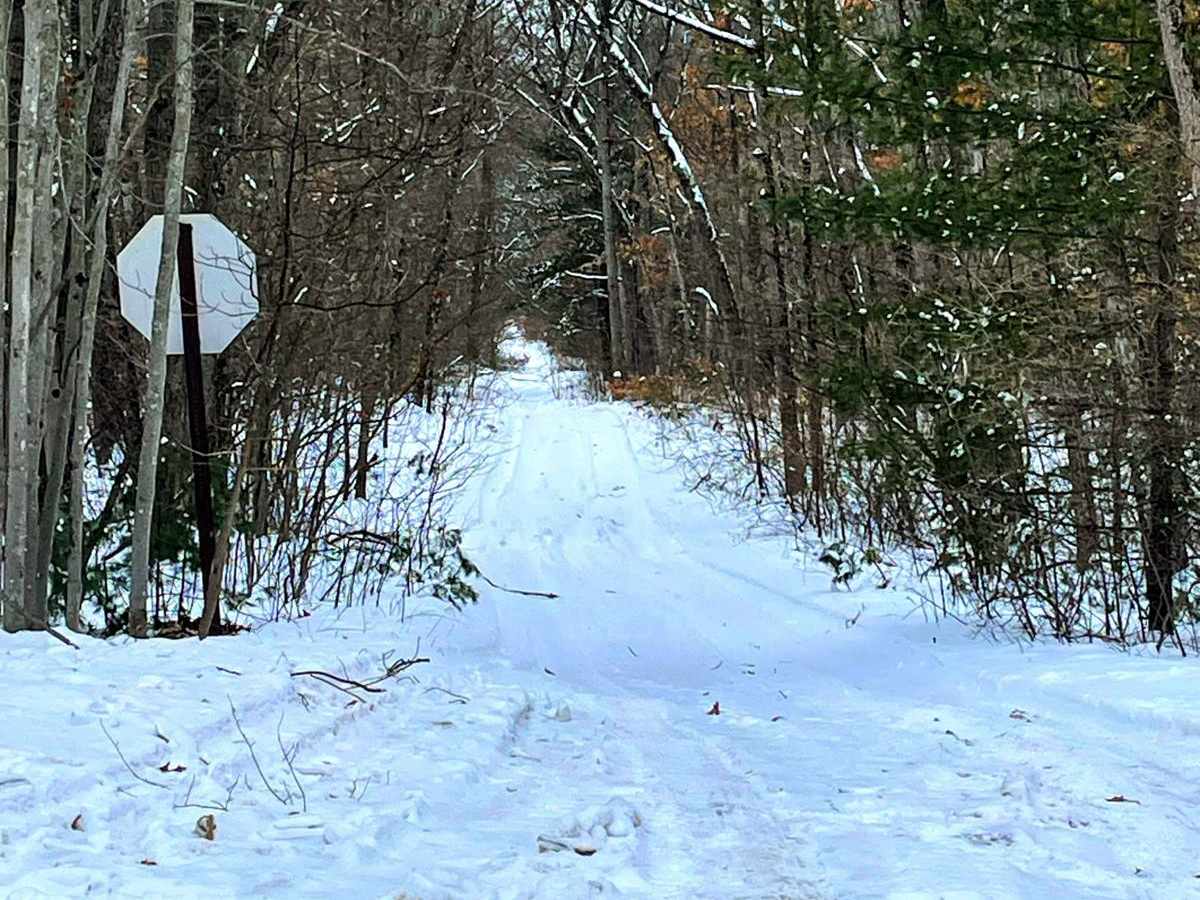 Dead Fall Alley trail photo