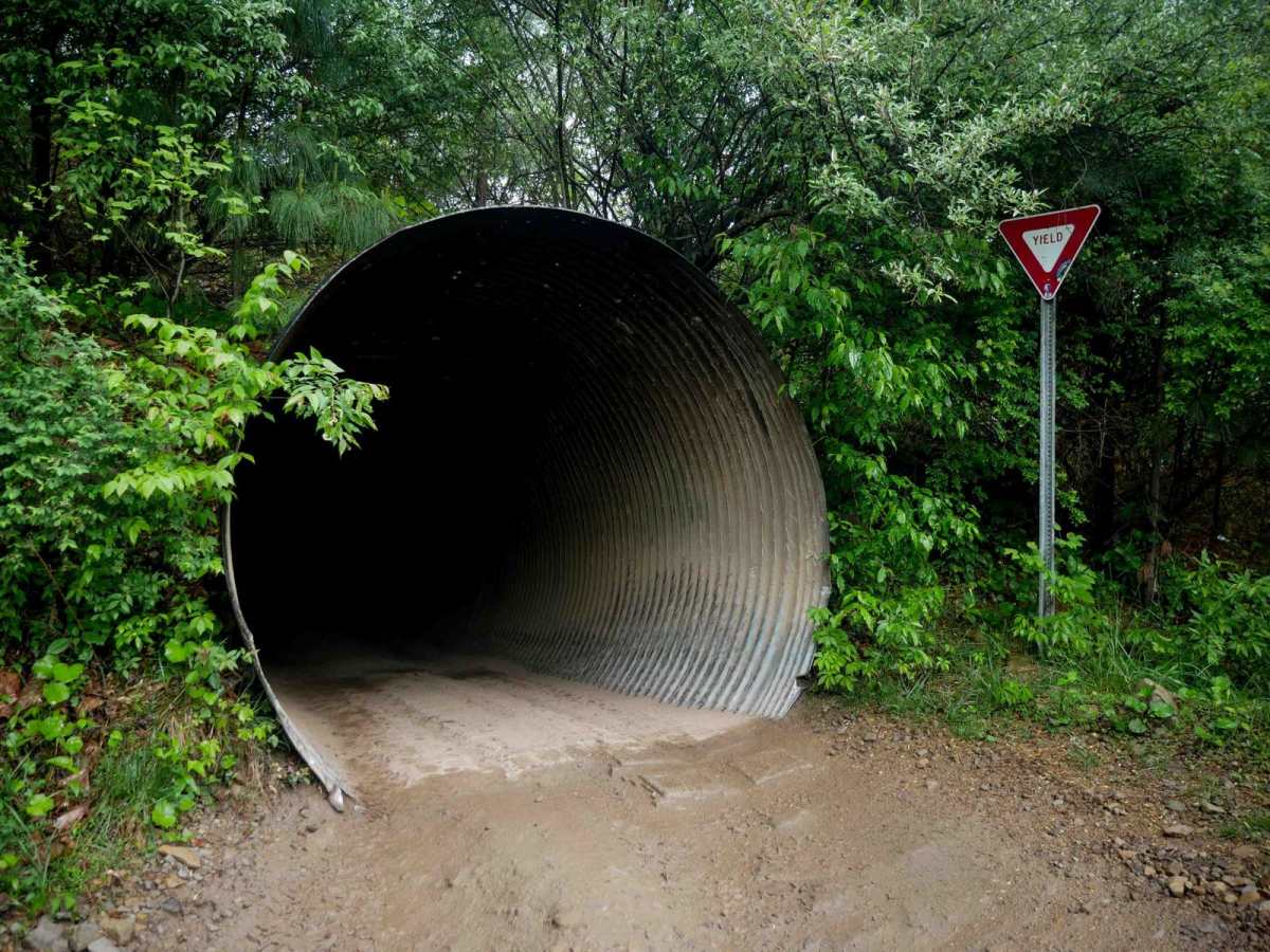 DA 52 trail photo