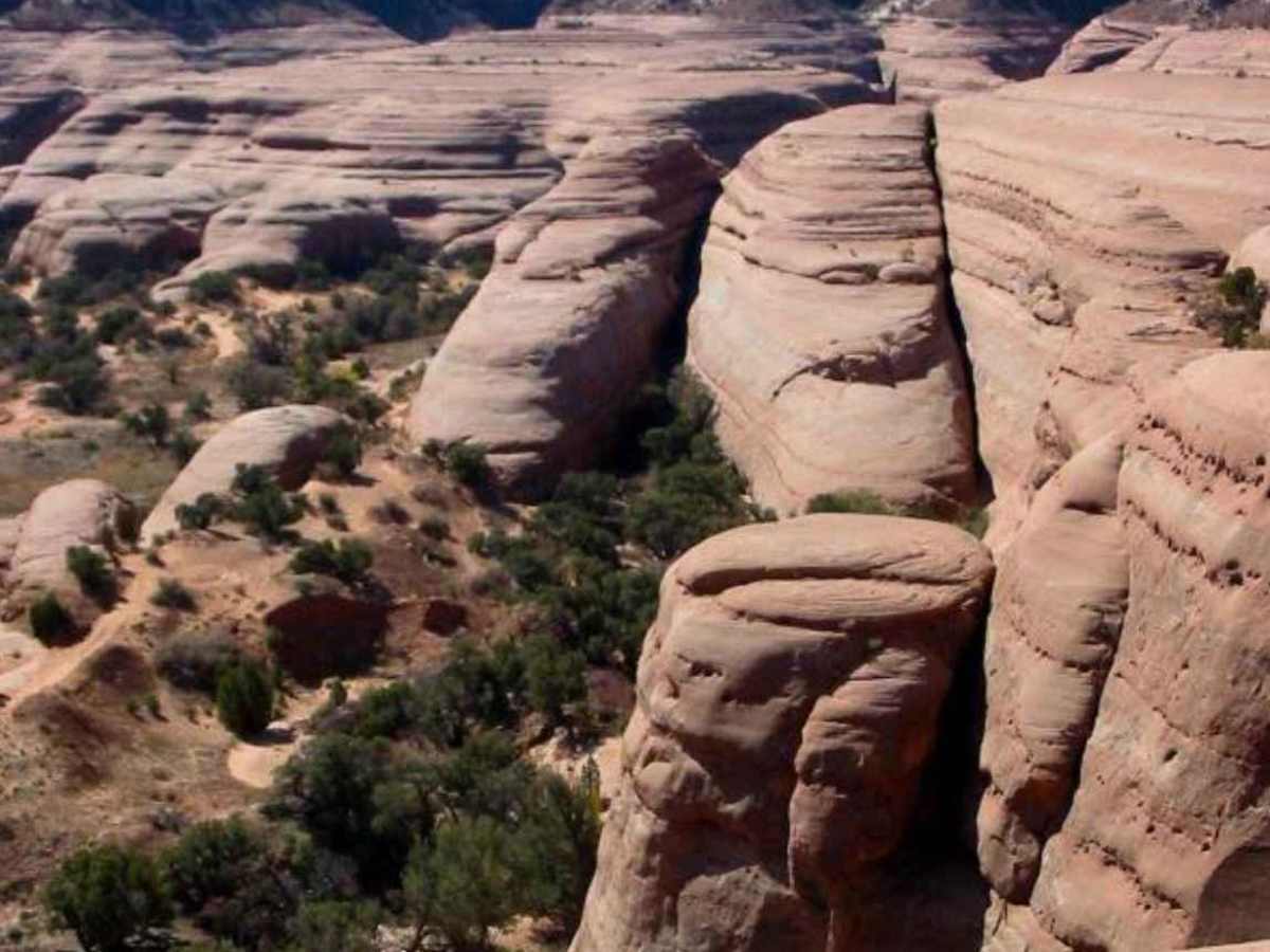 3D trail photo