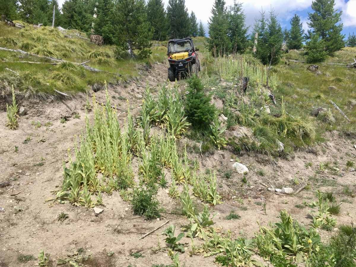 Cold Spring Hill ATV Trail photo 6
