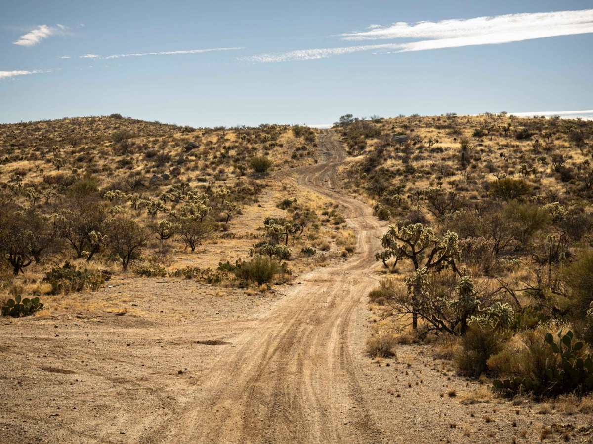 Lovetta Trail trail photo