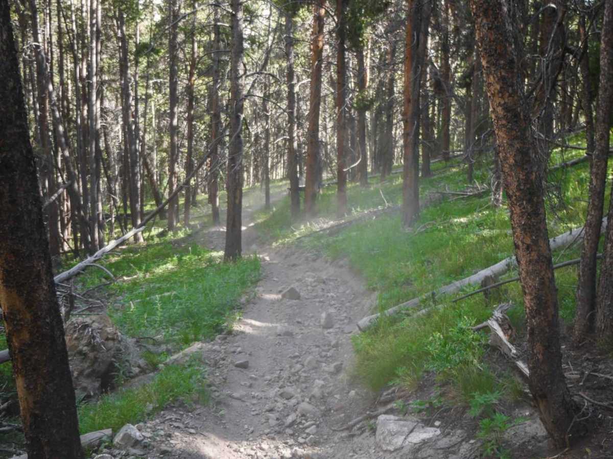 Quakey Mountain photo 4